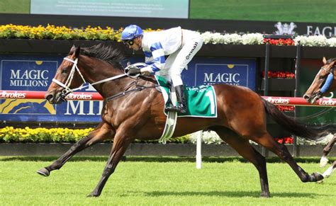 Queensland Derby Tips, Betting Odds, Past Winners and Results.